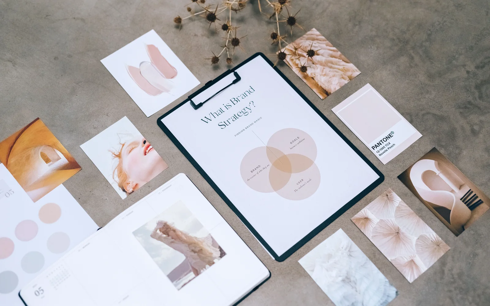 Branding & Design service